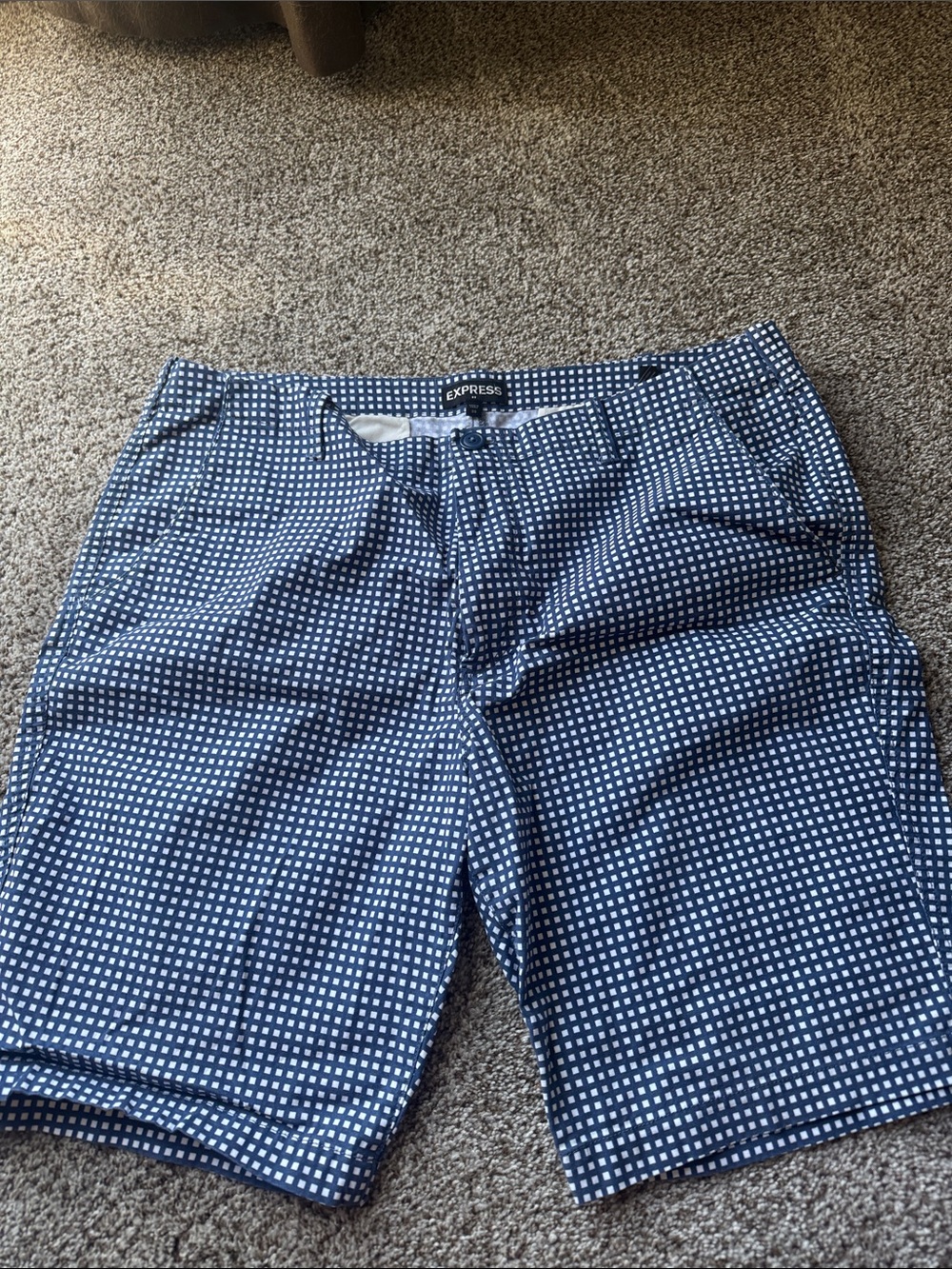 Express Men’s Navy and White Check Swim Trunks